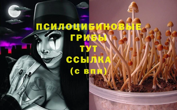 MDMA Аркадак