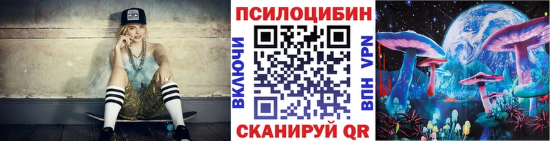 ссылка на мегу сайт  Могоча  Псилоцибиновые грибы Psilocybe 